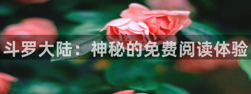 51漫画是啥：斗罗大陆：神秘的免费阅读体验