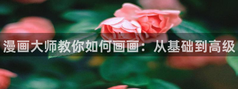 51漫画在线观看视频：漫画大师教你如何画画：从基础到高级